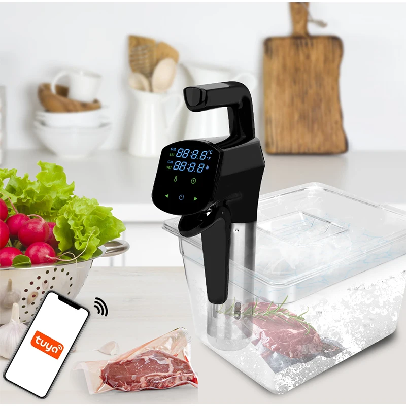 Machine commerciale Sous Vide  - Home Cooking Steak avis et prix