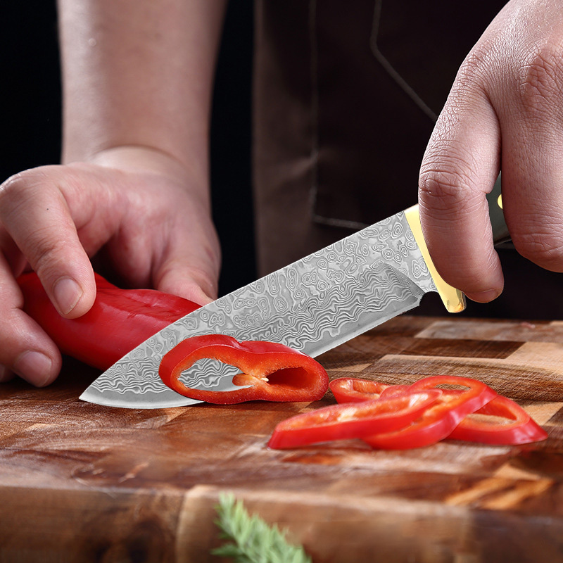 Couteau de cuisine Damas VG10  - Home Cooking Japanese Food avis et prix